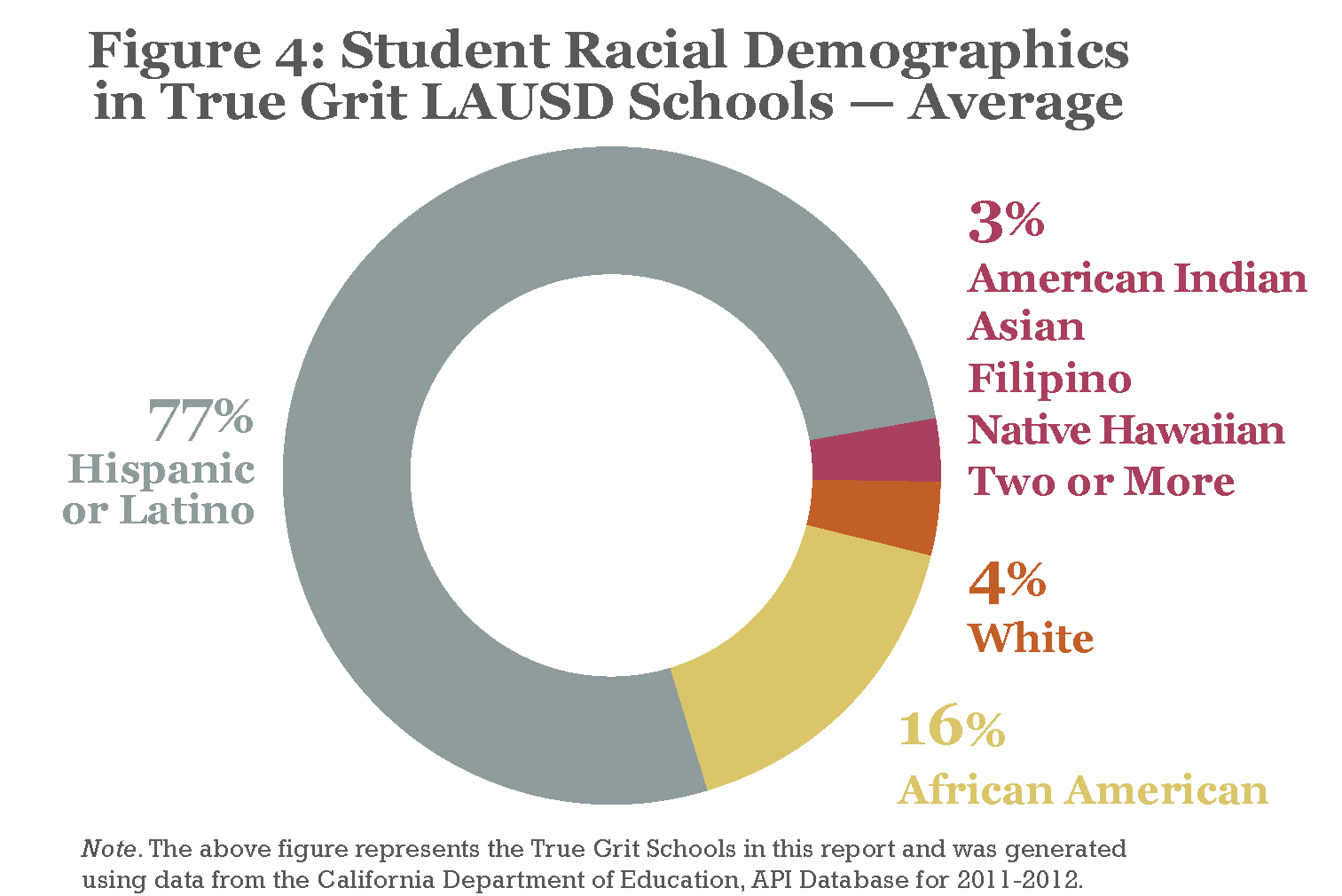 Student Racial Demographics at True Grit Schools