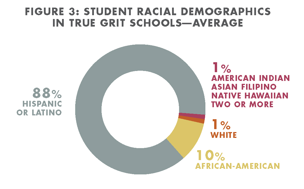 Student Racial Demographics at True Grit Schools